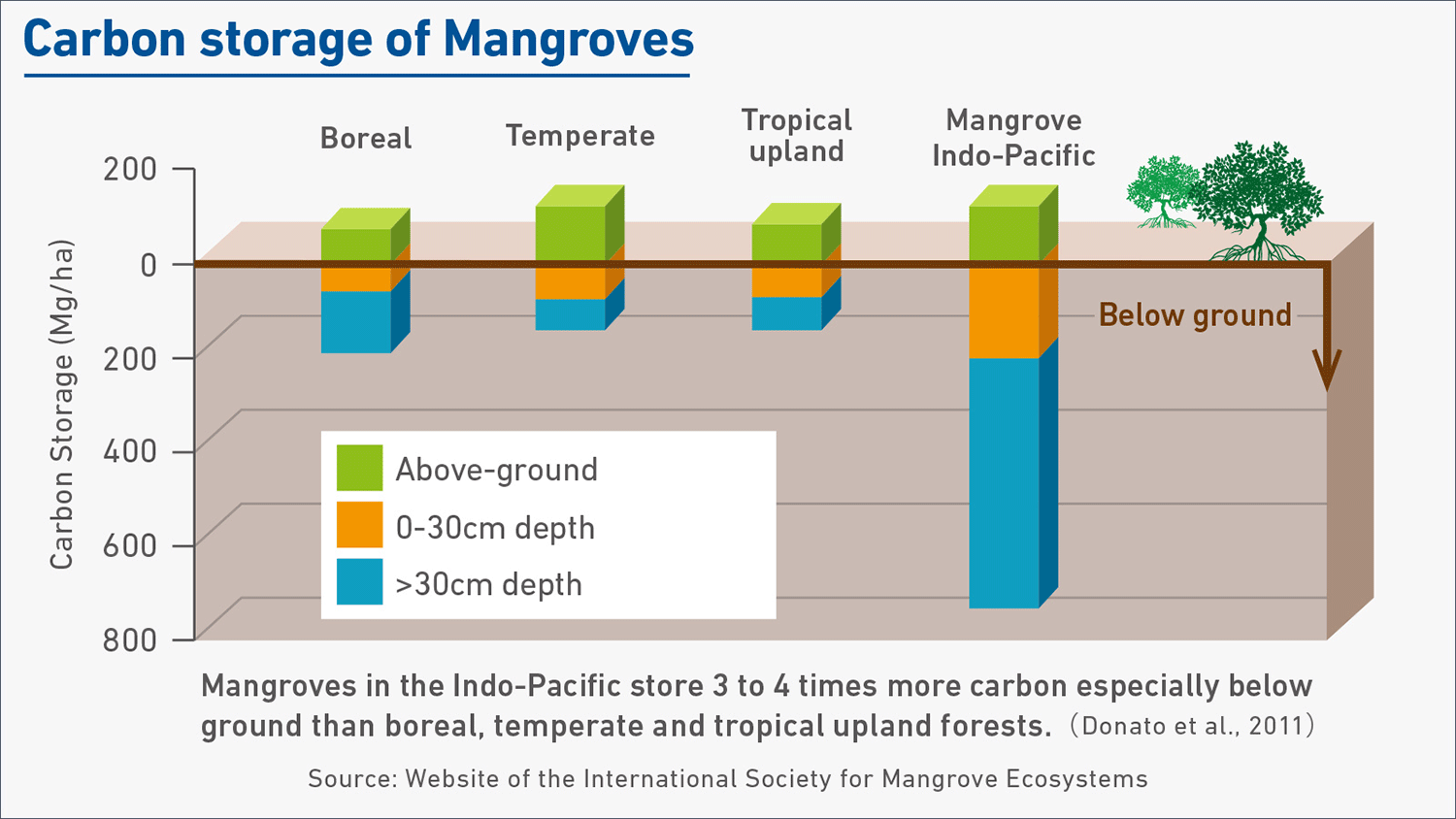 Carbon storage of Mangroves