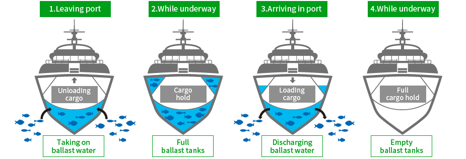 Transfer of Aquatic Organism via Ballast Water