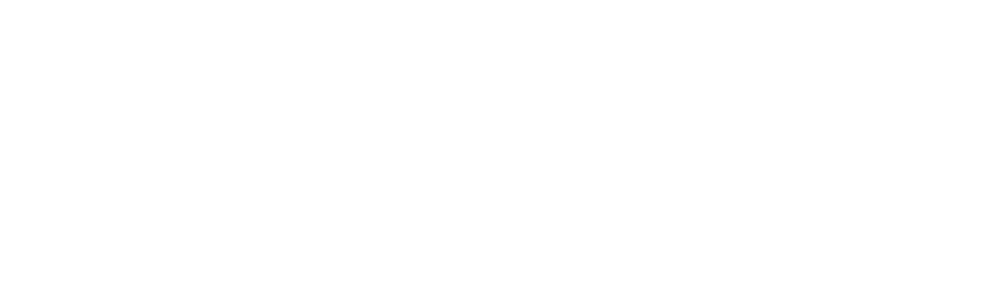 Dry Bulkship Transport