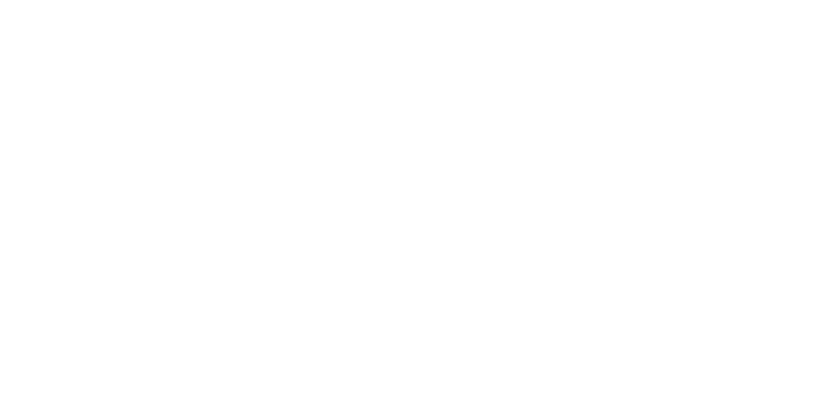 Energy Transport (LNG Carriers)