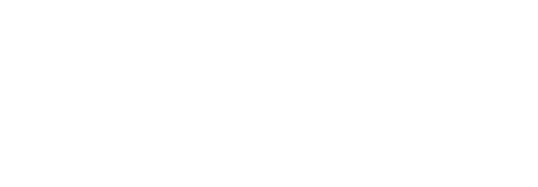 ドライバルク輸送